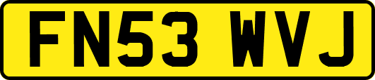 FN53WVJ