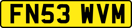 FN53WVM
