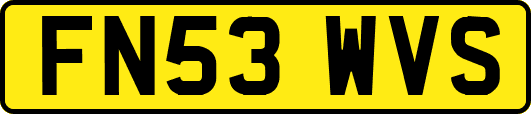 FN53WVS