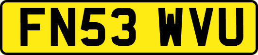 FN53WVU
