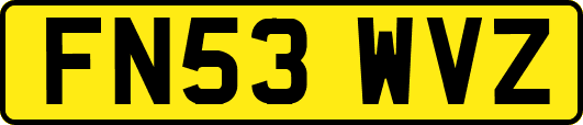 FN53WVZ