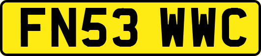 FN53WWC