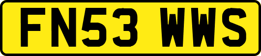 FN53WWS