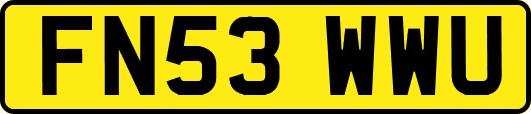 FN53WWU