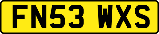 FN53WXS