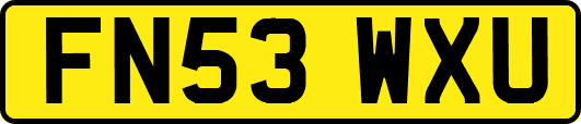 FN53WXU