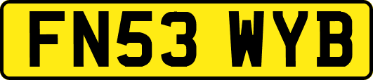 FN53WYB