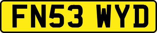 FN53WYD