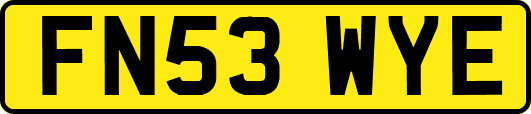 FN53WYE