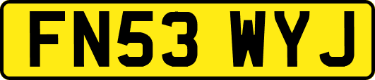 FN53WYJ