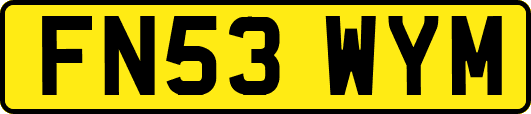 FN53WYM