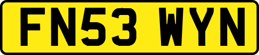 FN53WYN