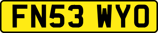 FN53WYO