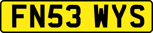 FN53WYS