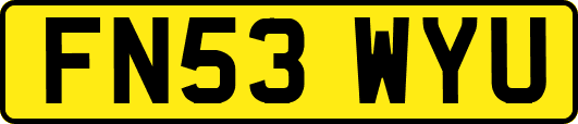 FN53WYU