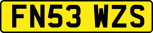 FN53WZS