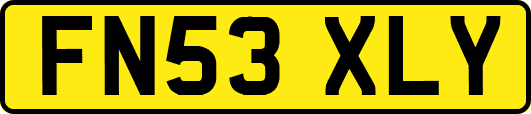 FN53XLY