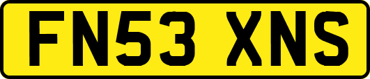 FN53XNS