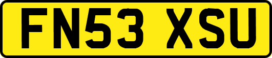 FN53XSU