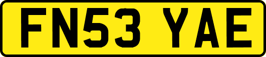 FN53YAE