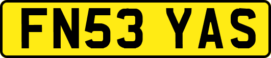 FN53YAS