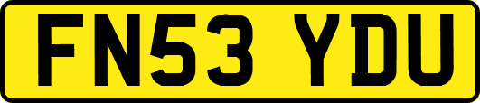 FN53YDU