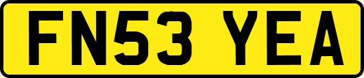 FN53YEA