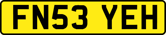 FN53YEH