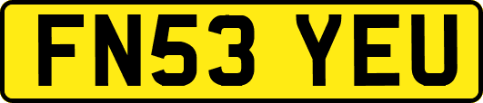 FN53YEU