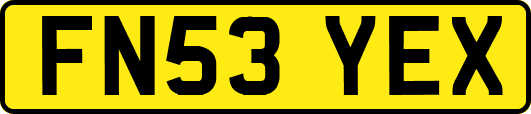 FN53YEX