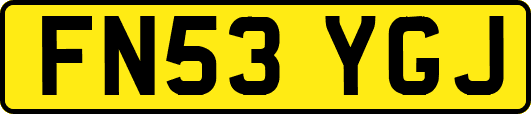 FN53YGJ