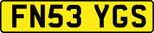 FN53YGS