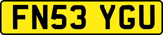 FN53YGU