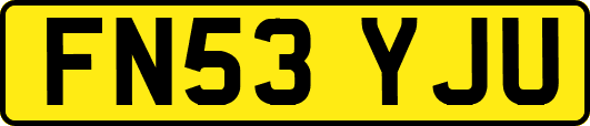 FN53YJU