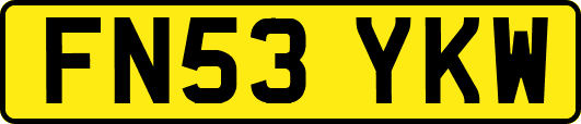 FN53YKW
