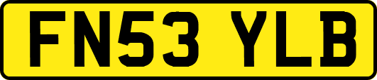 FN53YLB