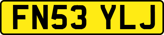 FN53YLJ