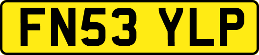 FN53YLP
