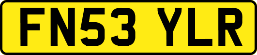 FN53YLR