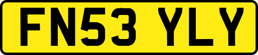 FN53YLY