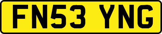 FN53YNG