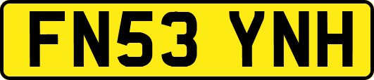 FN53YNH