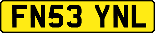 FN53YNL