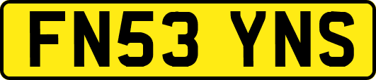 FN53YNS