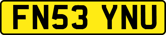 FN53YNU