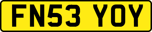 FN53YOY