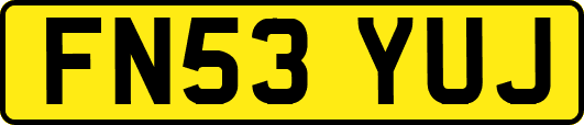 FN53YUJ