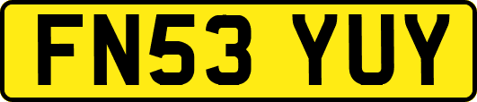 FN53YUY