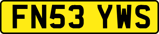 FN53YWS