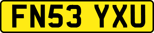 FN53YXU